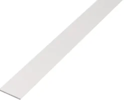 Brico Alberts Vlak Profiel Aluminium Wit 20X2Mm 2,6M- Profielen