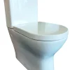 Duoblok Toiletten|Brico Allibert Duoblok Toilet Kobalt I Universele Afvoeri Soft-Close Toiletzitting Wit