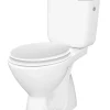 Duoblok Toiletten|Brico Allibert Duoblok Toilet Vito I Ao Aanlsuiting I Quick Release & Soft-Close Toiletzitting Wit