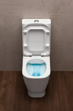 Duoblok Toiletten|Brico Aquavive Duoblok Toilet Look | Soft-Close Toiletzitting | Universee Afvoer| Randloos Toiletzitting Wit