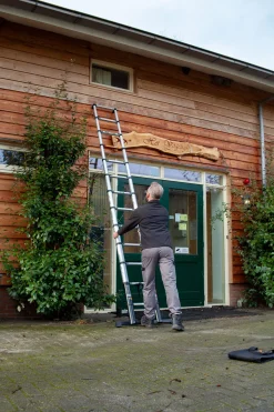 Telescopische Ladders|Brico Batavia Professionele Telescoopladder 3.81M