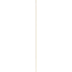 Steigerhout|Brico Cando Steigerhout Onbehandeld Vuren 30X195Mm 250Cm