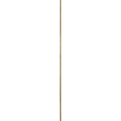 Steigerhout|Brico Cando Steigerhout Vuren 30X62X2500Mm Verouderd