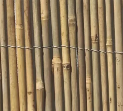 Brico Central Park Balkonscherm Split Bamboe 1.5X5M- Balkonschermen