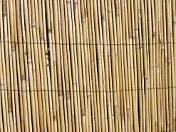 Brico Central Park Balkonscherm Gepeld Riet 2X5M- Balkonschermen