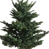 Echte Kerstbomen|Brico Central Park Kerstboom Nobilis 125-150Cm