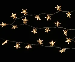 Kerstverlichting|Brico Central Park Kerstverlichting Ster Acryl 100 Lampjes 13M