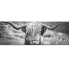 Muurdecoratie|Brico Deco Paneel Schilderij Highlander Schots Mdf 156X52Cm