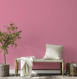 Brico Decoverf Muurverf Licht Roze, 4L- Muurverf