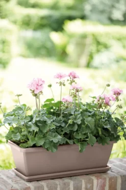 Brico Elho Balkonbak Barcelona 70Cm Taupe- Plantenpotten En -Bakken