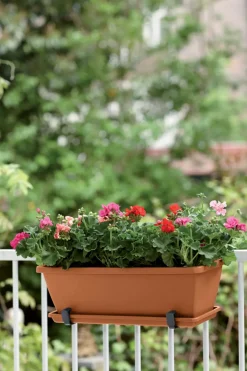 Brico Elho Balkonbak Barcelona 50Cm Terra- Plantenpotten En -Bakken