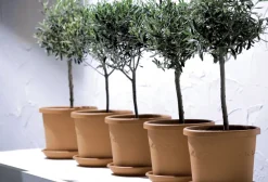 Brico Elho Bloempot Algarve Cilindro Rond Wielen O48Cm Terra- Plantenpotten En -Bakken