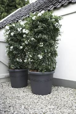 Brico Elho Bloempot Algarve Cilindro Rond O30Cm Antraciet- Plantenpotten En -Bakken