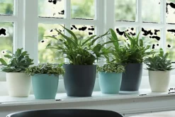 Brico Elho Bloempot Brussels Rond O25Cm Wit- Plantenpotten En -Bakken