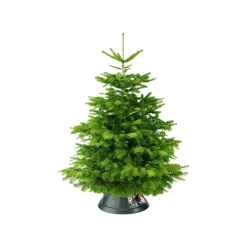 Kerstboomvoeten|Brico Elho Kerstboomvoet Nordman Groen 39Cm