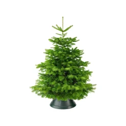 Kerstboomvoeten|Brico Elho Kerstboomvoet Nordman Groen 39Cm