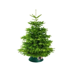 Kerstboomvoeten|Brico Elho Kerstboomvoet Oslo Kunststof 38Cm