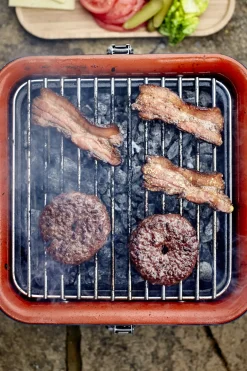 Brico Everdure Cube Houtskool Barbecue Grijs 38,4X31,6X22,4Cm- Houtskool Barbecue