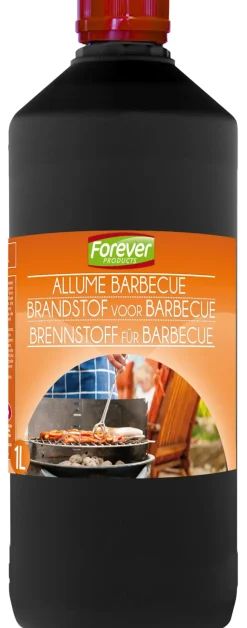Brico Forever Aanmaakvloeistof 1L