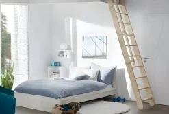 Brico Handystairs Uitschuifbare Steektrap "Montreal" - Hoogte 300Cm - 12 Treden Van Beuken - Met Leuning- Zoldertrappen