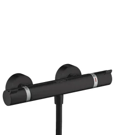 Douchekranen|Brico Hansgrohe Thermostatische Douchekraan Ecostat Zwart Mat