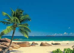 Brico Komar Muurfoto Seychellen 270X194Cm- Fotobehang