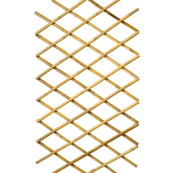 Tuinhout|Brico Nature Bamboeklimrek 100X200Cm