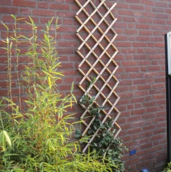 Tuinhout|Brico Nature Bamboeklimrek 100X200Cm