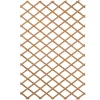 Tuinhout|Brico Nature Plantenklimrek Hout 200X100Cm
