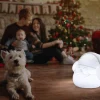 Kerstverlichting|Brico Newgarden Klaus 30 Play & Light Bluetooth Speaker