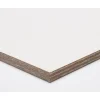 Multiplex|Brico Paintplex Multiplex Plaat 122X244Cm 12Mm