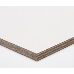 Multiplex|Brico Paintplex Multiplex Plaat 122X244Cm 15Mm