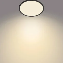 Badkamerverlichting|Brico Philips Plafondlamp Superslim Zwart O30Cm 18W