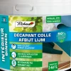 Brico Richard 2,5L Interieur Lijm Verwijderaar- Afbijtmiddelen