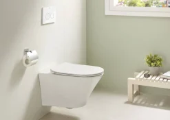 Inbouwtoiletten|Brico Roca Inbouwreservoir Set Heracles | Soft-Close Toiletzitting | Randloos Toiletpot