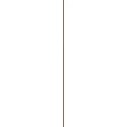 Timmerhout|Brico Schaaflat Hardhout 9X117Mm 210Cm