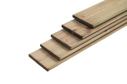 Tuinhout|Brico Schuttingplank Geimpregneerd 1,6X14X180Cm