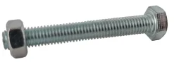 Brico Sencys Zeskantbout + Verzinkt Moer M5X16Mm 15St- Bouten