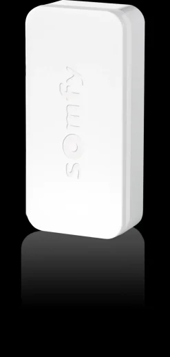 Brico Somfy Deur- En Raamsensor Intellitag Wifi 200M- Alarmsystemen