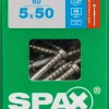 Brico Spax Terrasschroef A2 Inox 50X5Mm 60 St- Tuinbeslag & Terrasschroeven