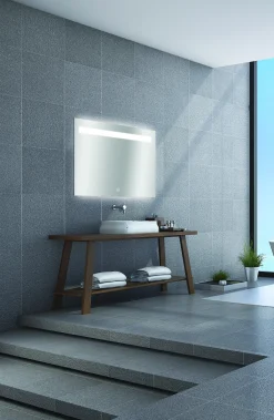 Spiegels|Brico Spiegel Portland Rechthoek Met Ledverlichting En Touch Sensor 70X100Cm
