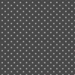 Muurdecoratie|Brico Transform Zelfklevende Decoratiefolie Stars Grijs 45X200Cm
