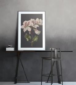 Brico Vanilla Lime Fotobehang 14268- Fotobehang