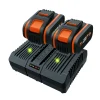 Accu'S & Acculaders|Brico Worx 2 Batterijen + Dubbele Lader Wa3611 20V 4Ah